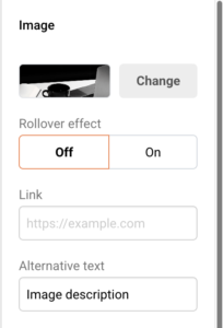 image-alt-text