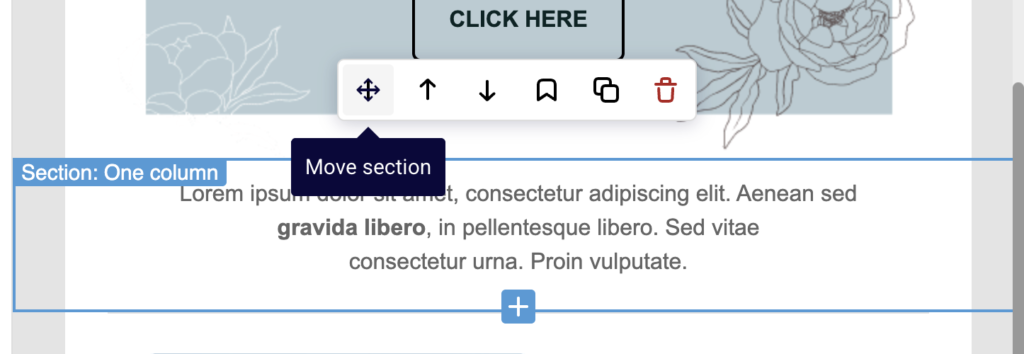 drag-and-drop-builder-section-options drag-and-drop-builder-section-options
